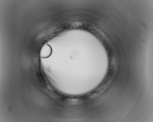 X0000113910565200910151420