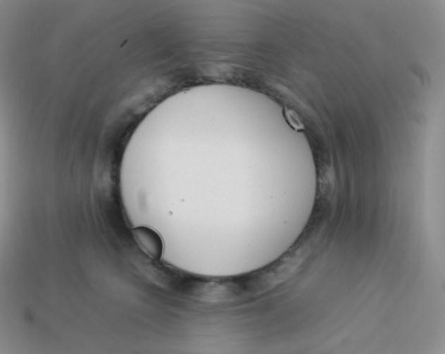 X0000113910566200910151420