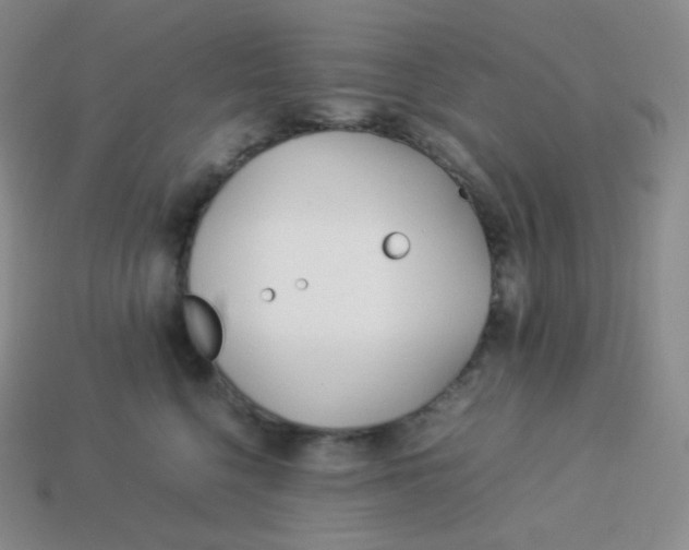 X0000113910568200910151420