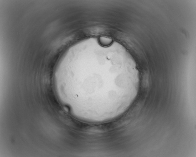 X0000113910569200910151420