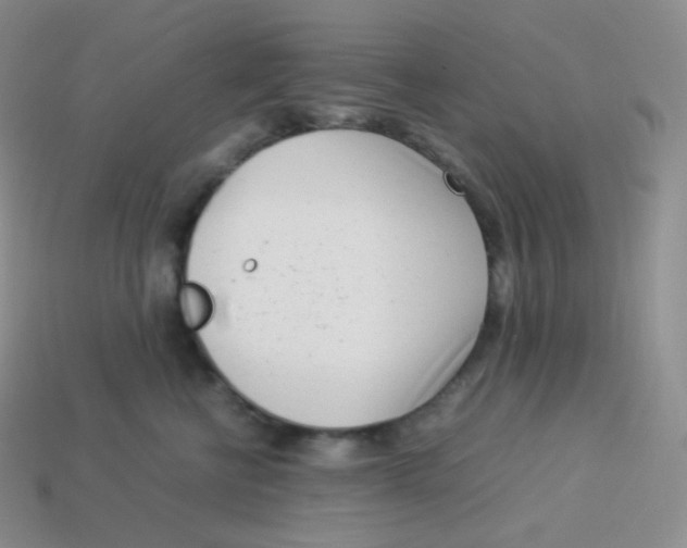 X0000113910570200910151420