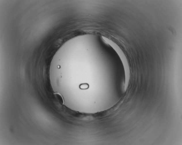 X0000113910572200910151420