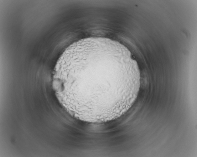 X0000113910573200910151420