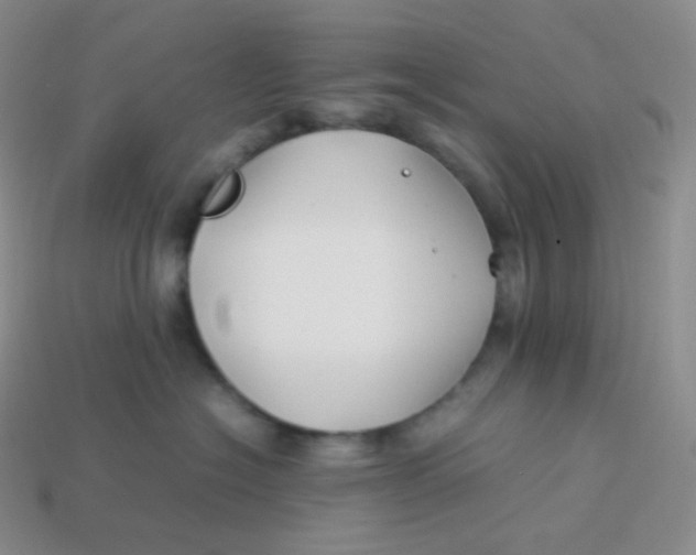 X0000113910574200910151420