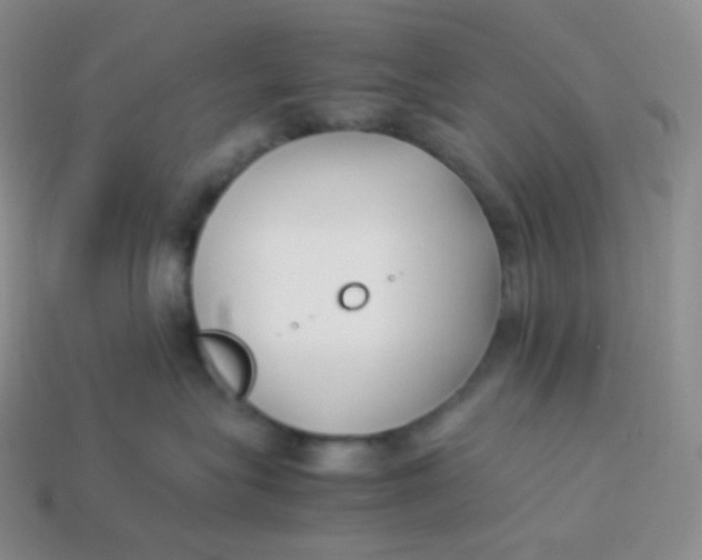 X0000113910575200910151420