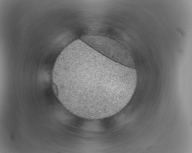 X0000113910576200910151420