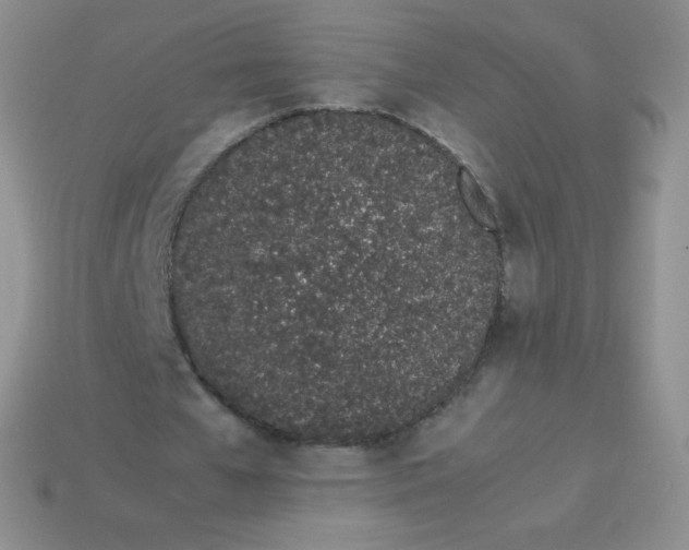 X0000113910577200910151419