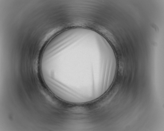 X0000113910578200910151419