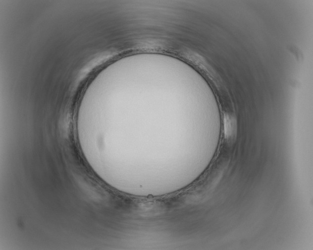 X0000113910579200910151419