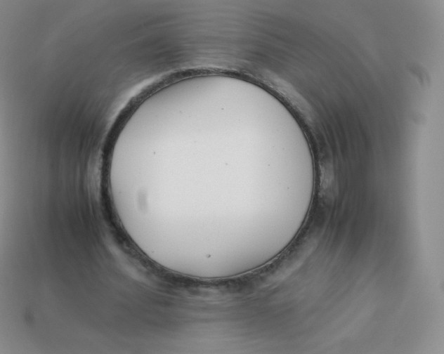 X0000113910580200910151419