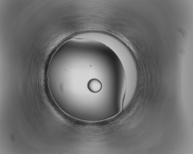 X0000113910581200910151419