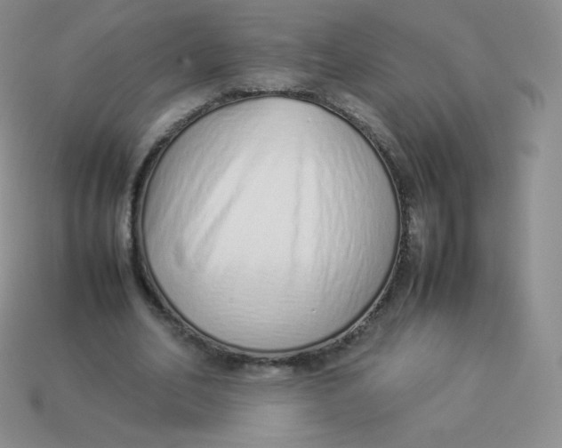 X0000113910582200910151419