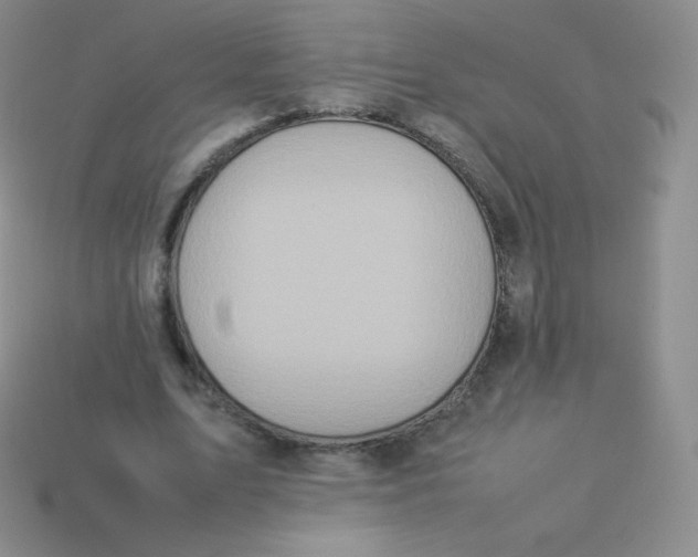 X0000113910583200910151419