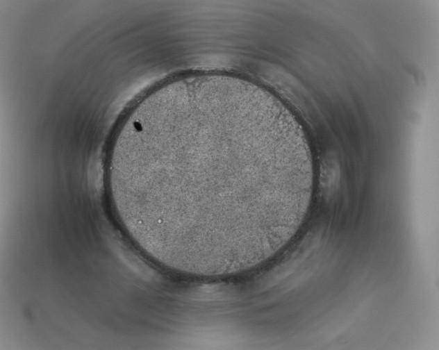 X0000113910584200910151419