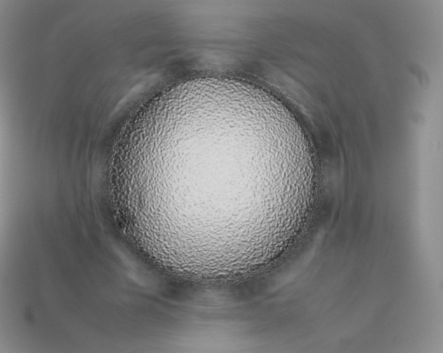 X0000113910585200910151419