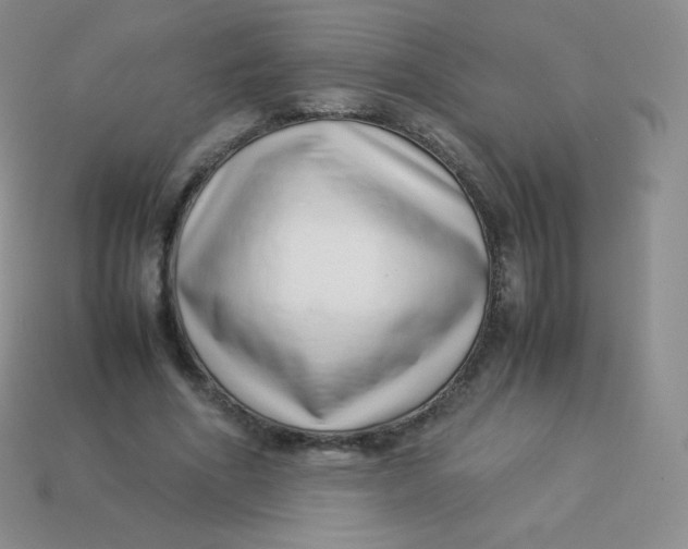 X0000113910586200910151419