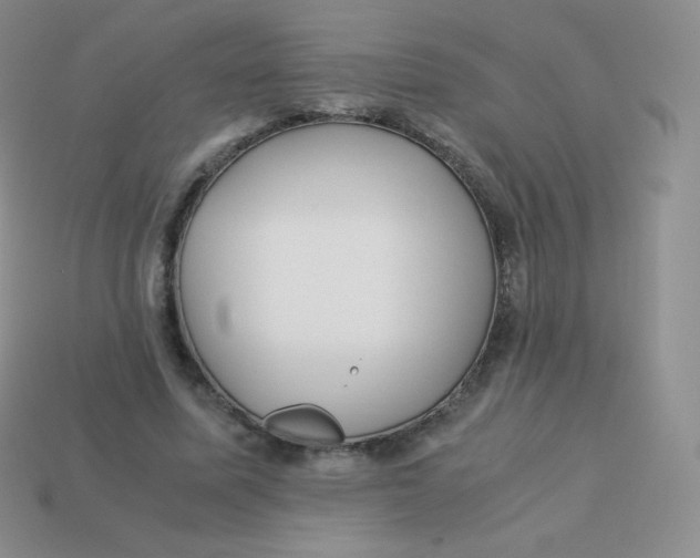 X0000113910587200910151419