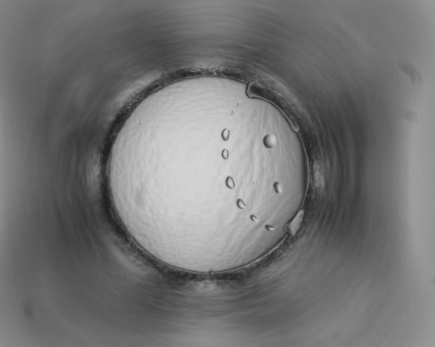 X0000113910588200910151419