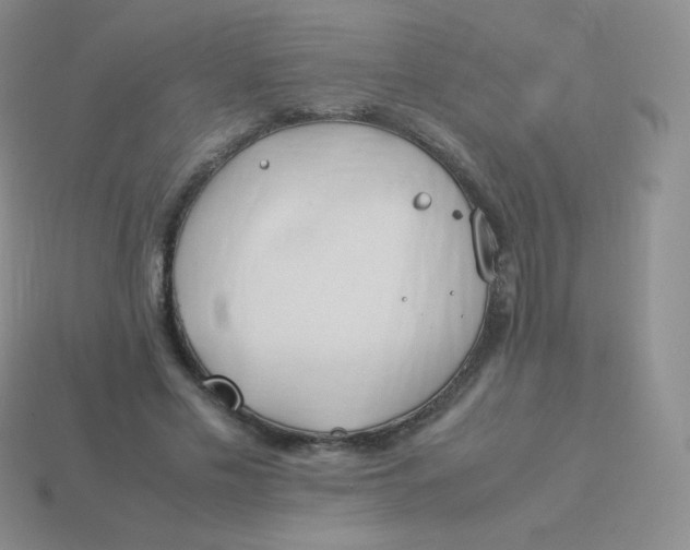 X0000113910589200910151419