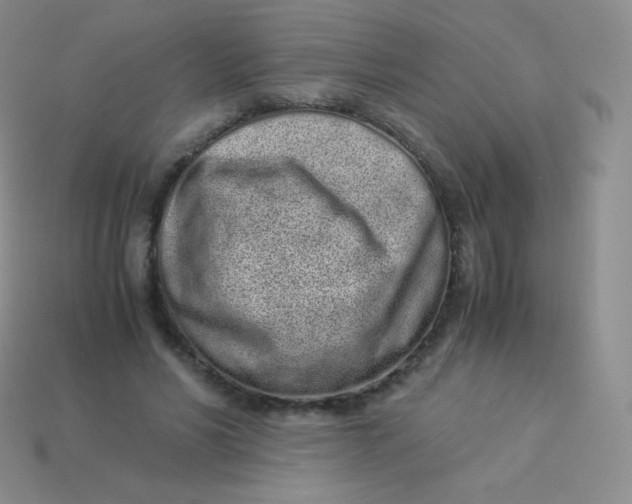 X0000113910590200910151419