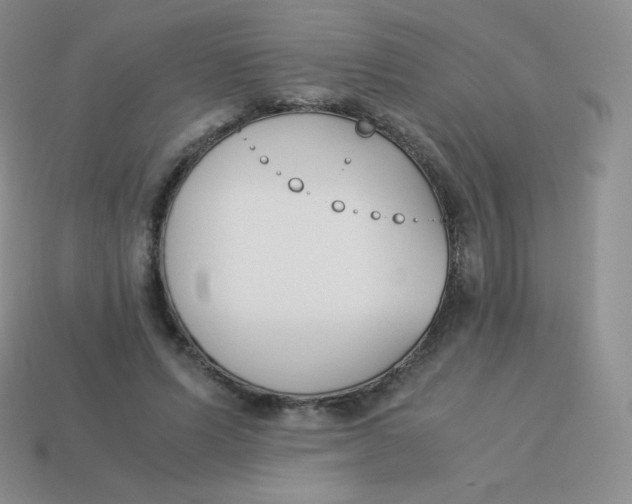 X0000113910591200910151419