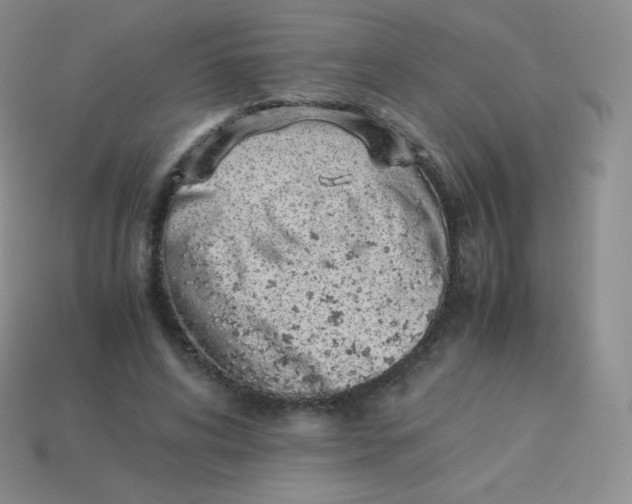 X0000113910592200910151419