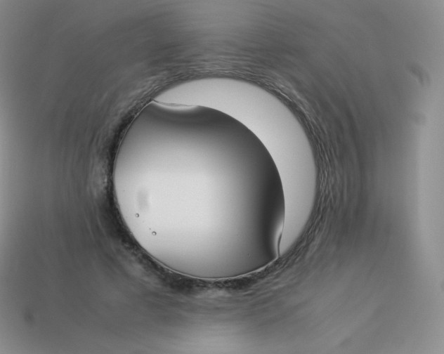 X0000113910593200910151419