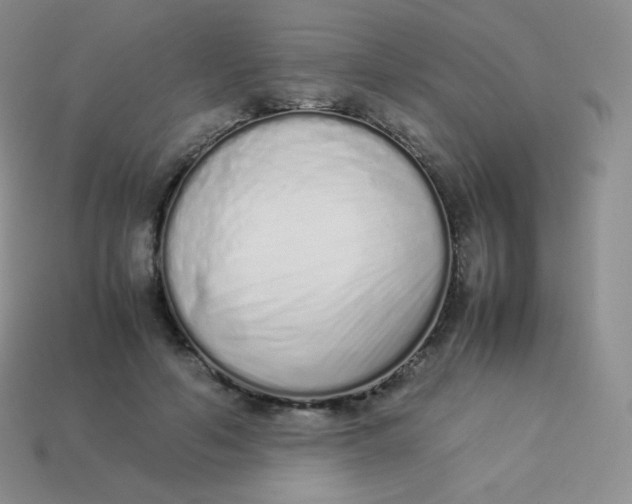 X0000113910594200910151419