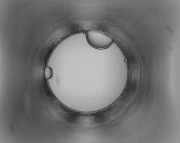 X0000113910595200910151419