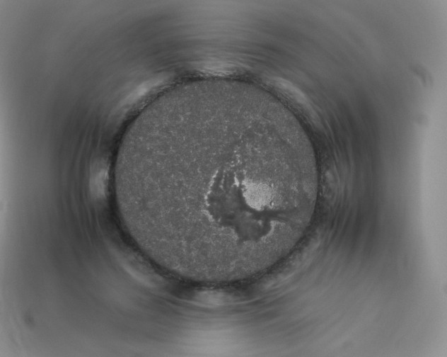 X0000113910596200910151419