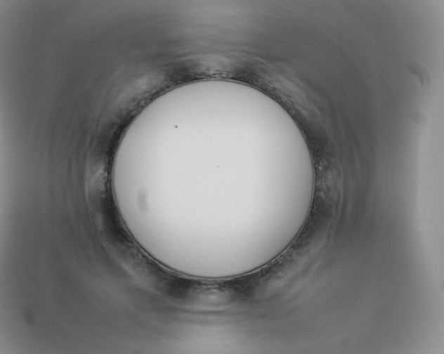 X0000113910597200910151419