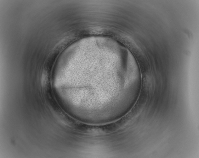 X0000113910598200910151419