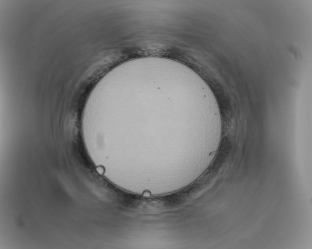 X0000113910599200910151419