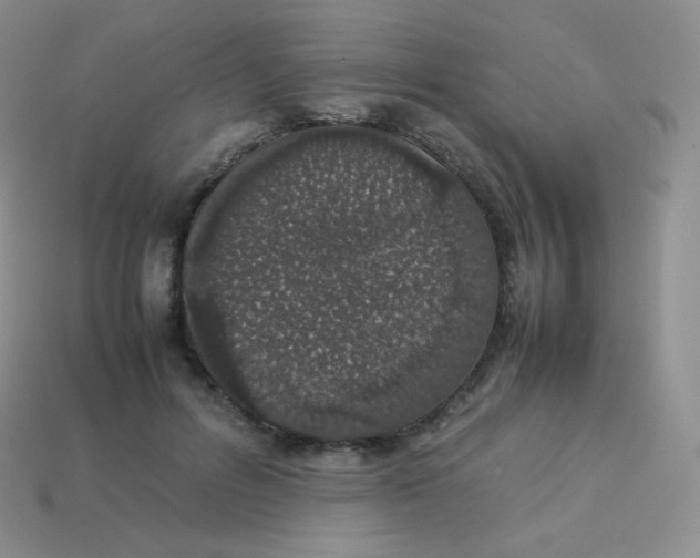 X0000113910600200910151419