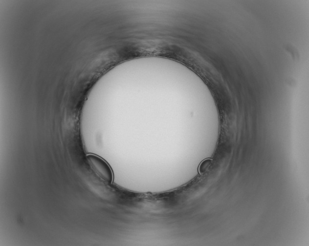 X0000113910601200910151419