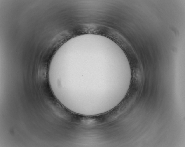 X0000113910602200910151419