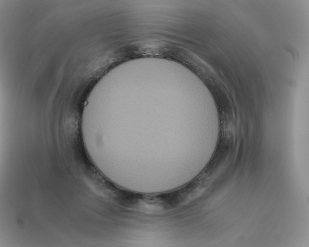 X0000113910603200910151419