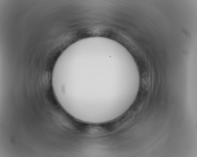 X0000113910605200910151419