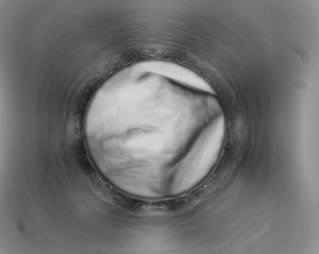 X0000113910606200910151419