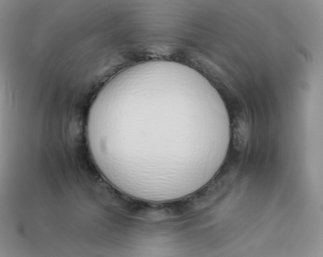 X0000113910608200910151419