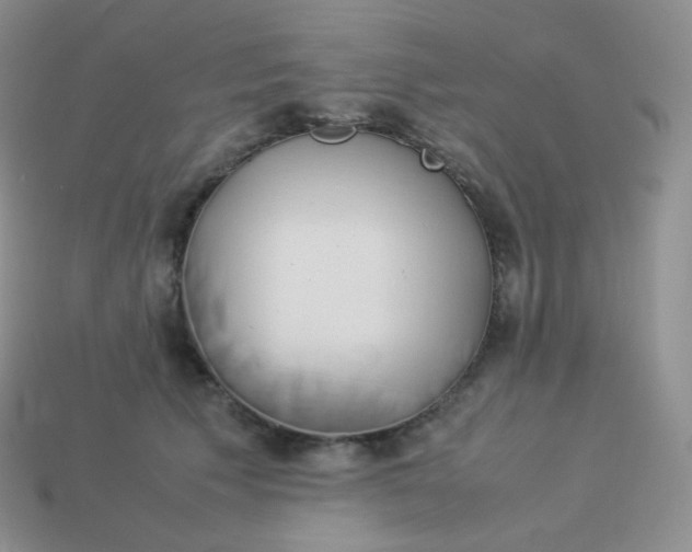 X0000113910609200910151419