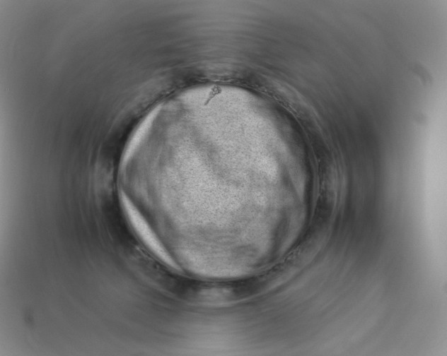 X0000113910610200910151419