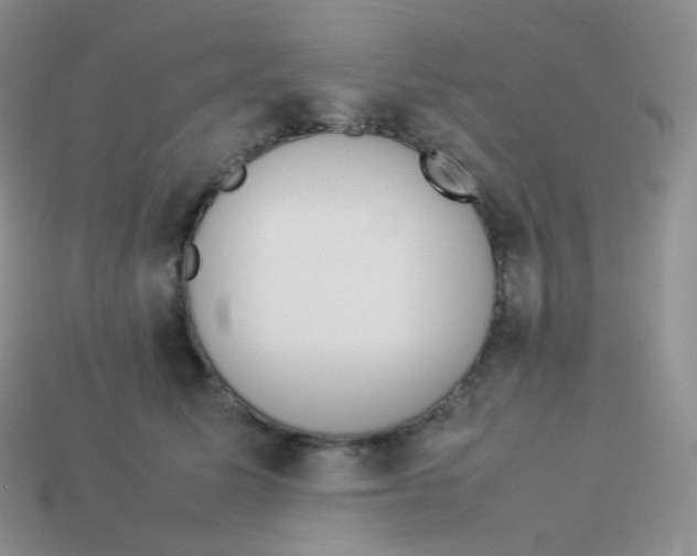 X0000113910611200910151419