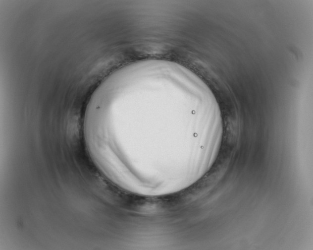 X0000113910612200910151419