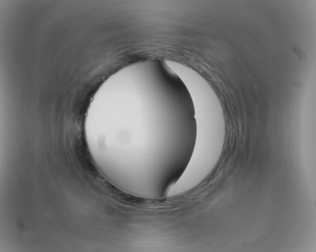 X0000113910613200910151419