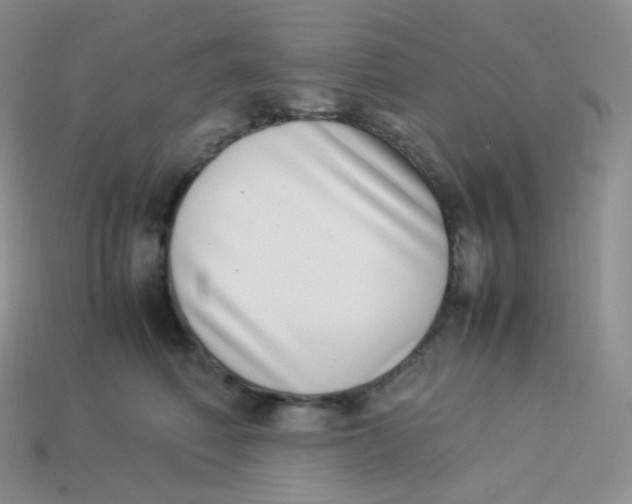 X0000113910614200910151419