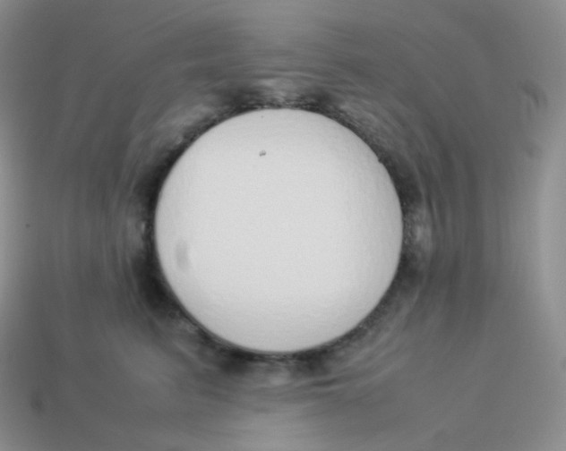 X0000113910615200910151419