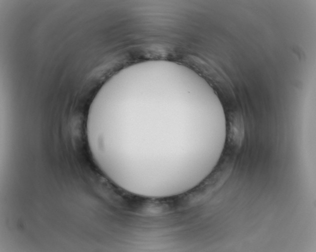 X0000113910616200910151419