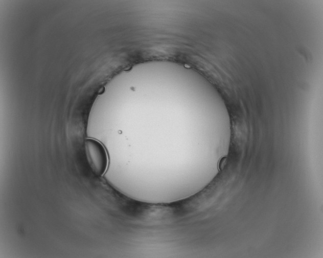 X0000113910617200910151419