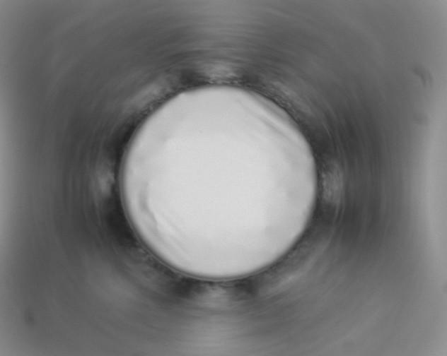 X0000113910618200910151419